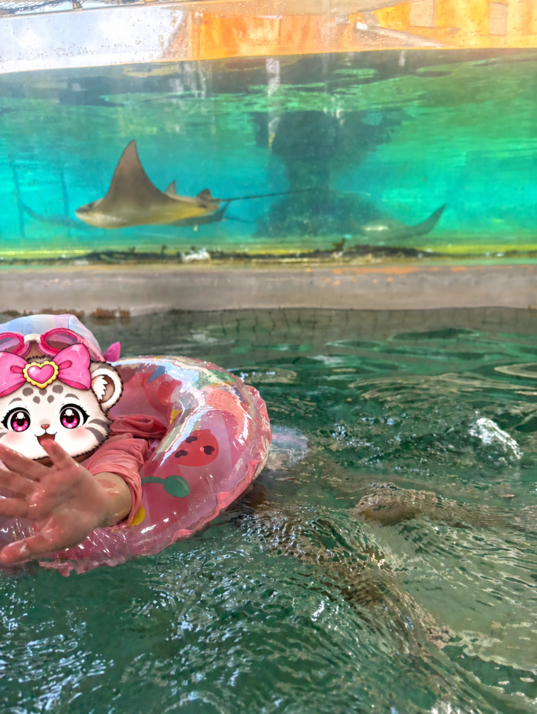 エイの水槽の前を浮き輪で進むこみぬ